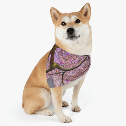 "Un momento de calma bajo las flores de cerezo" - The Alien Pet Bandana Collar