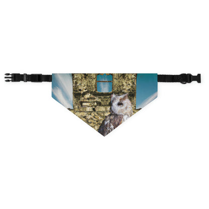 "Un centinela entre ruinas: la percha de un búho sin remover" - The Alien Pet Bandana Collar