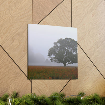 The Lonely Tree in the Foggy Meadow - The Alien Canva