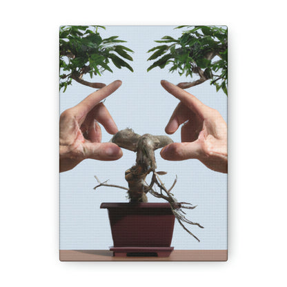 Bonsai Balance - Alex Art - Canvas