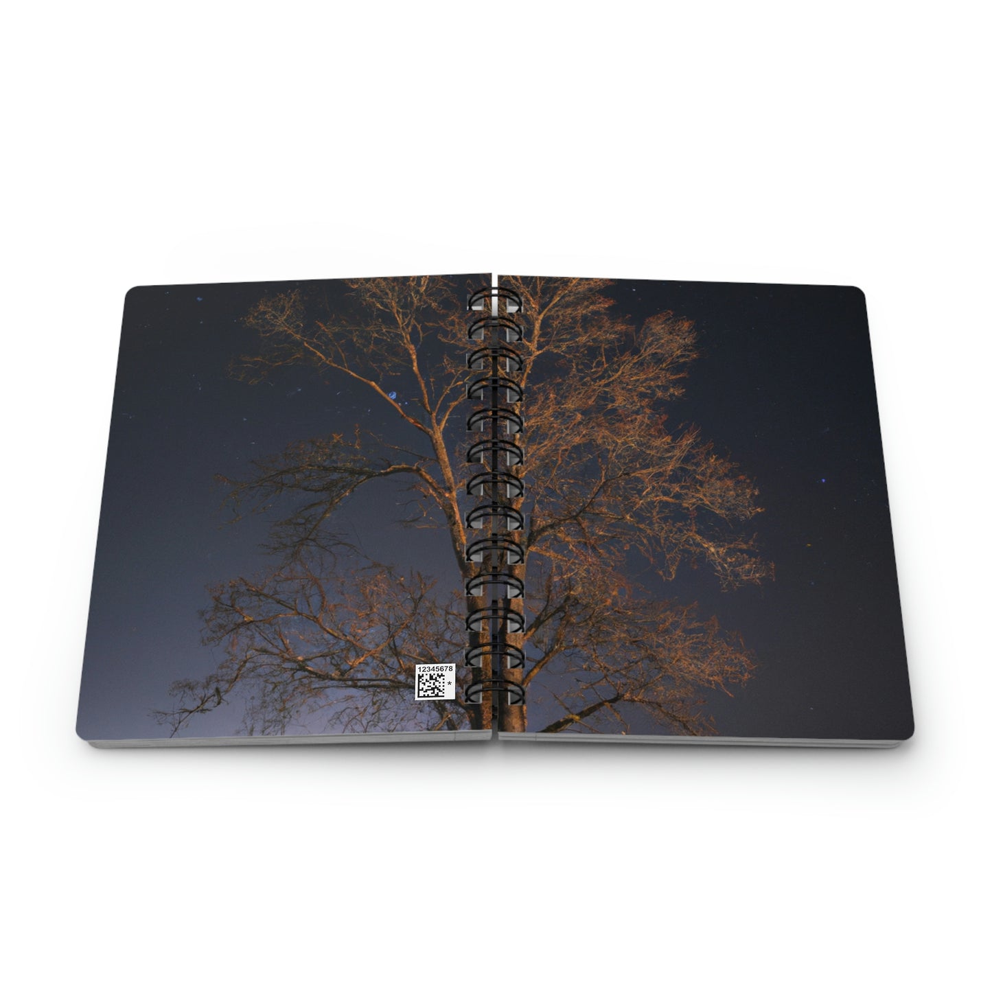 "Reaching for the Heavens" - The Alien Spiral Bound Journal