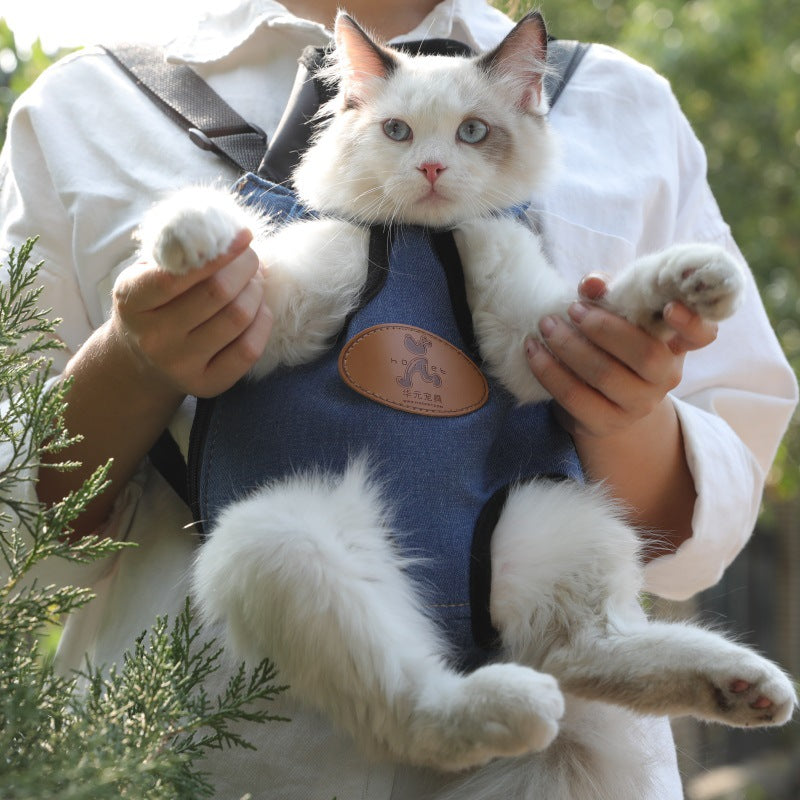 Tragbarer Katzenrucksack für Frühlingsausflüge