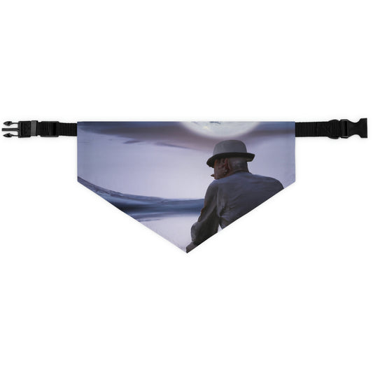 Moonlight Reflections on a Quiet Lake - The Alien Pet Bandana Collar