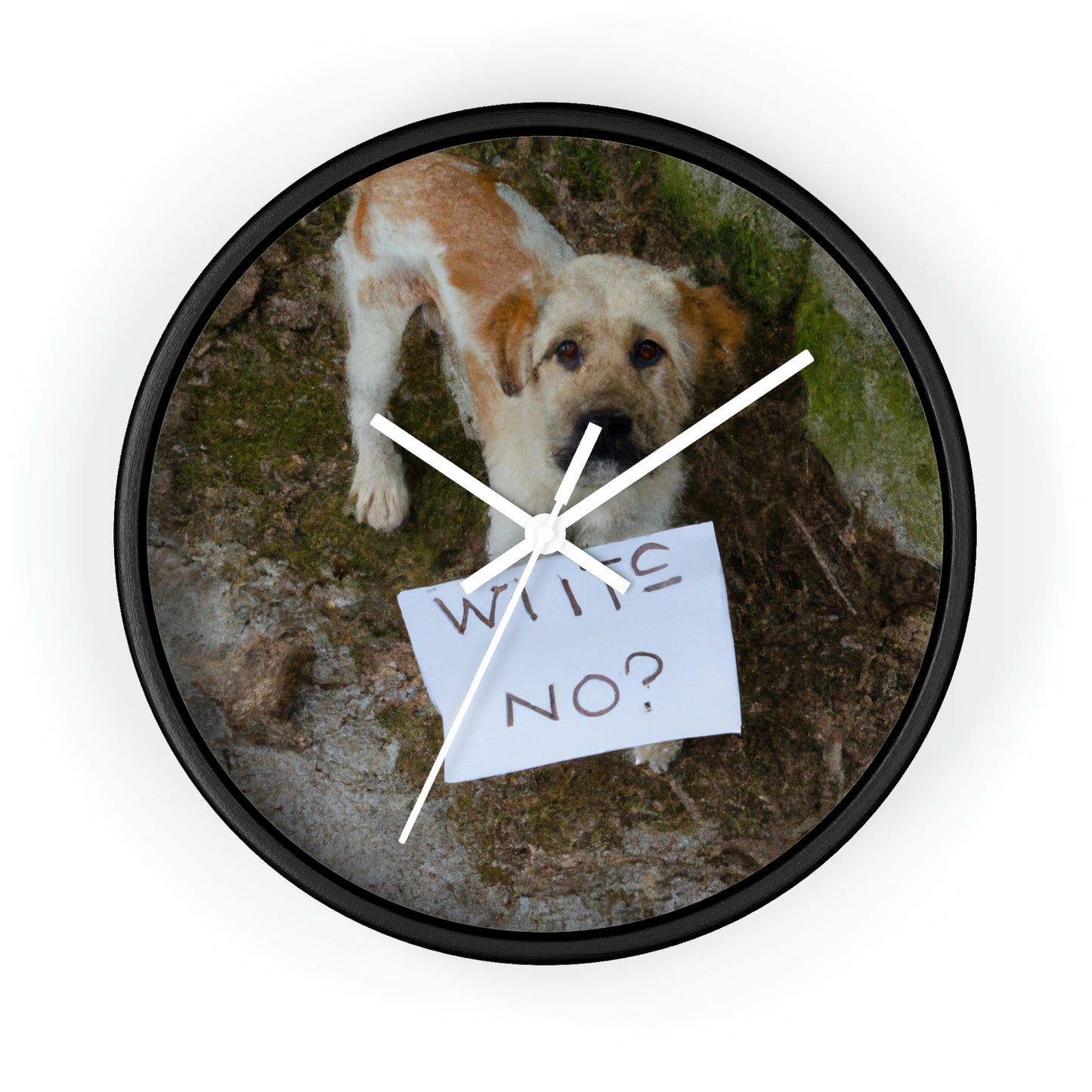 "A Heartbreaking Search: The Lost Dog's Plea for Reunion" - The Alien Wall Clock