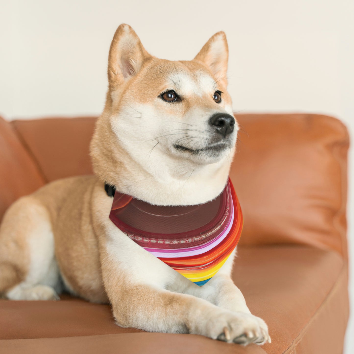 "Autumn Splendor Plates" - The Alien Pet Bandana Collar