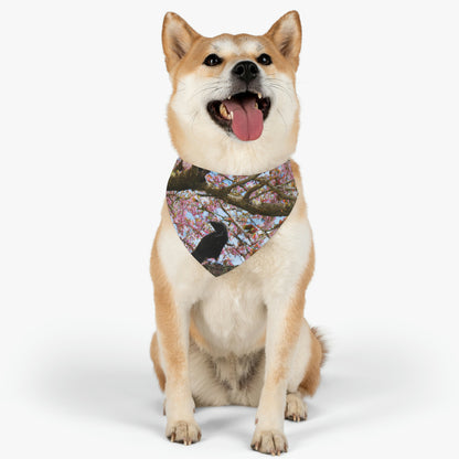 "A Blossoming Reflection" - The Alien Pet Bandana Collar