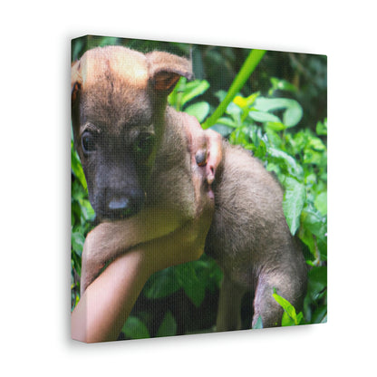 "Lost in the Woods: A Puppy's Rescue" - The Alien Canva