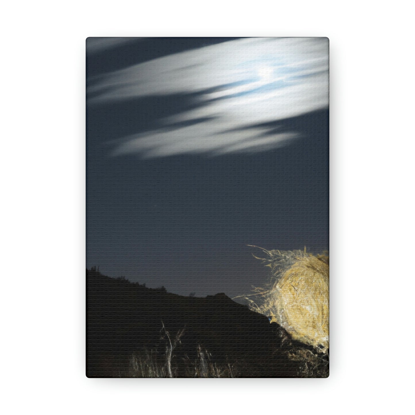 "Midnight in the Desert Tumbleweed" - The Alien Canva