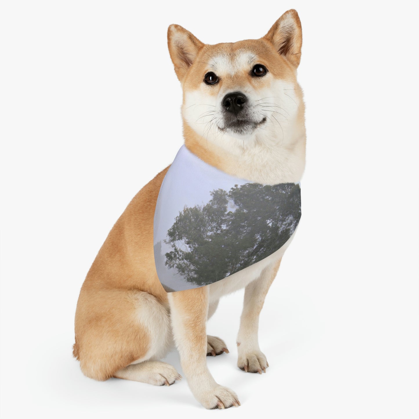 The Lonely Tree in the Foggy Meadow - The Alien Pet Bandana Collar