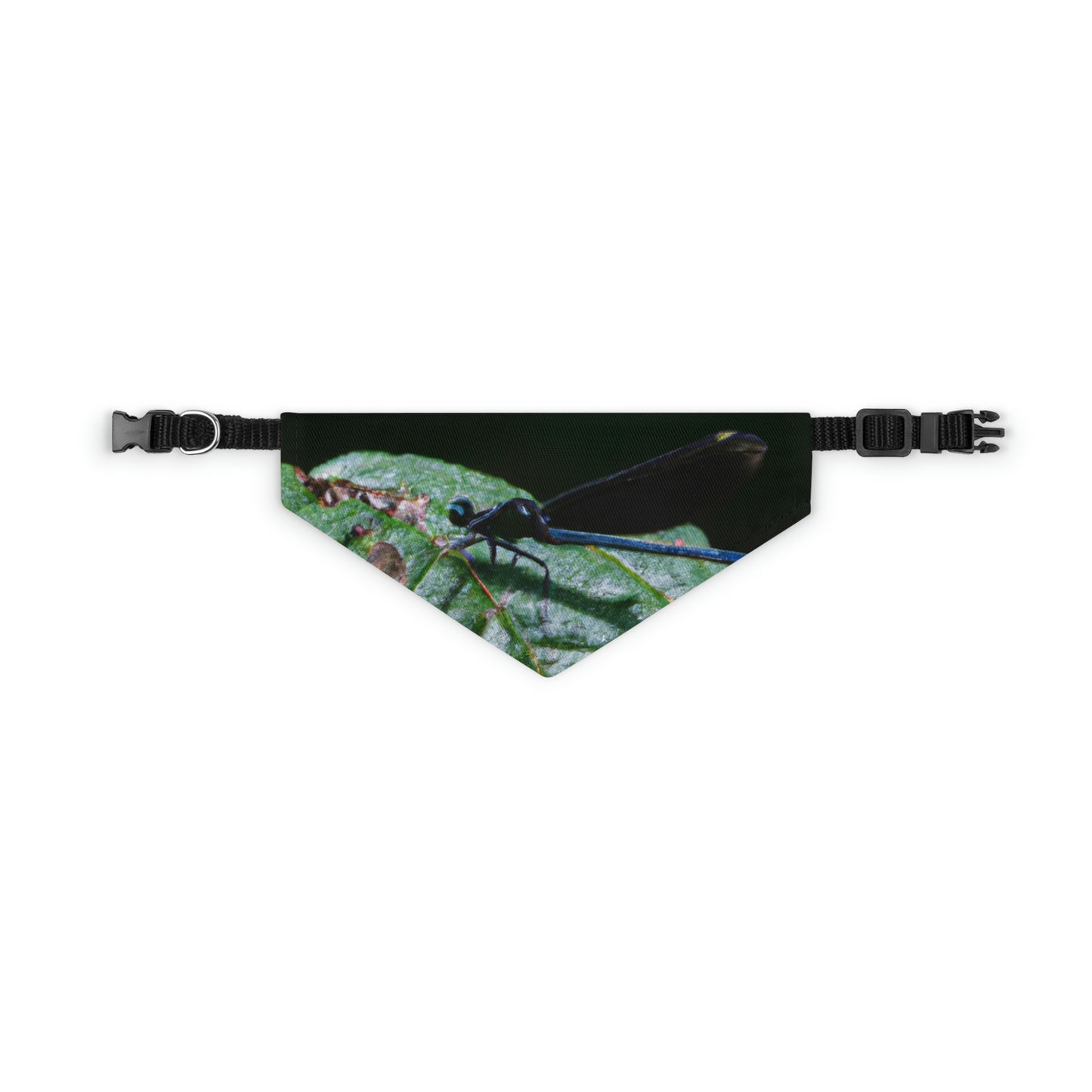 "A Moment of Transience" - The Alien Pet Bandana Collar