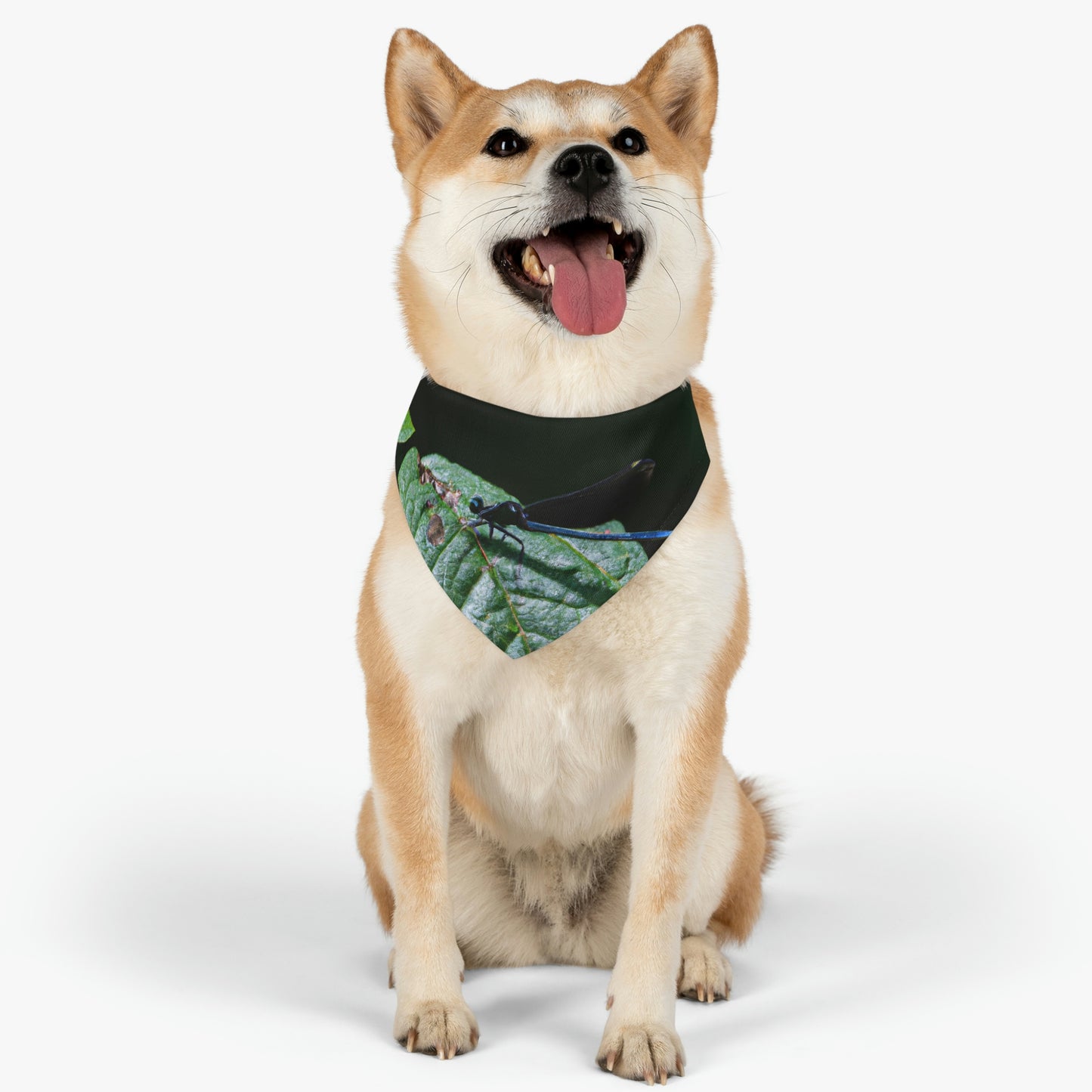 "A Moment of Transience" - The Alien Pet Bandana Collar