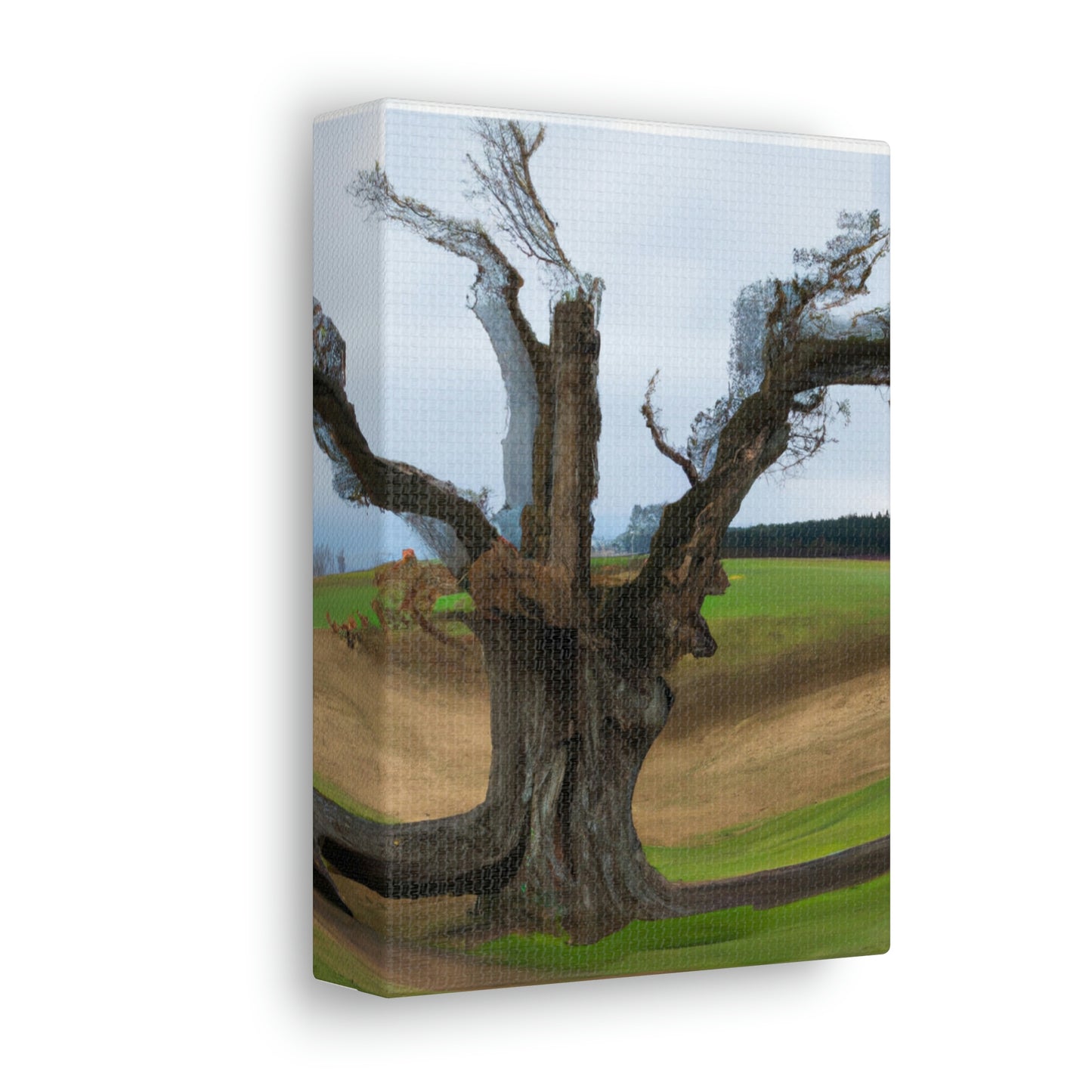 "A Shadow in the Meadow: The Last Standing Tree" - The Alien Canva