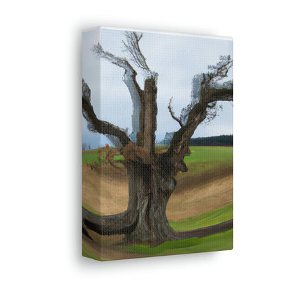 „Ein Schatten auf der Wiese: Der letzte stehende Baum“ – The Alien Canva