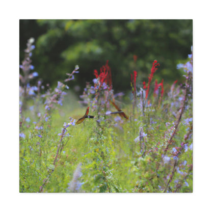 "The Dragonfly Ball in the Wildflower Meadow" - The Alien Canva