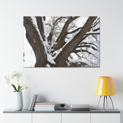 "Winter Wonderland Tree" - The Alien Canva