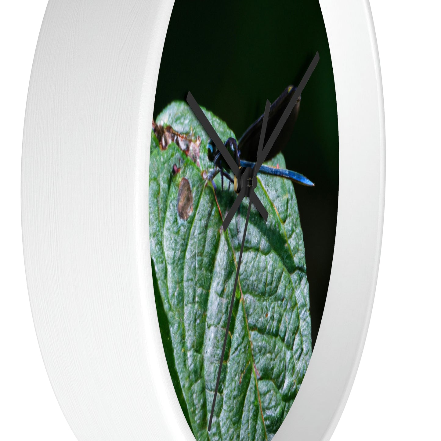 "A Moment of Transience" - The Alien Wall Clock