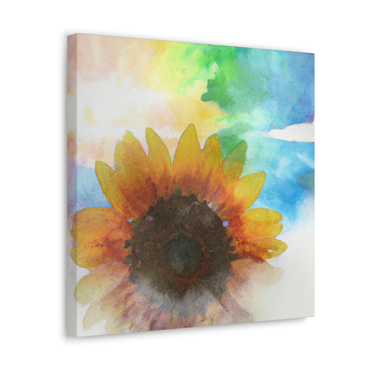 Rainbow Skies Artist - Canvas