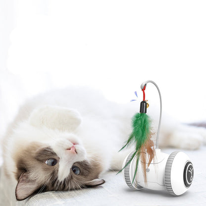 Interactive Cat Toy With Interchangeable Heads  Pet Feather Toys