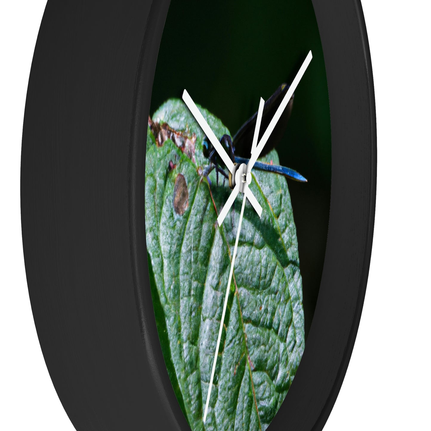 "A Moment of Transience" - The Alien Wall Clock