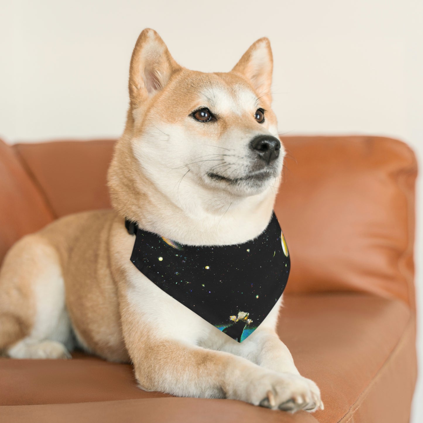 "A Lost Soul Connected to the Heavens" - The Alien Pet Bandana Collar