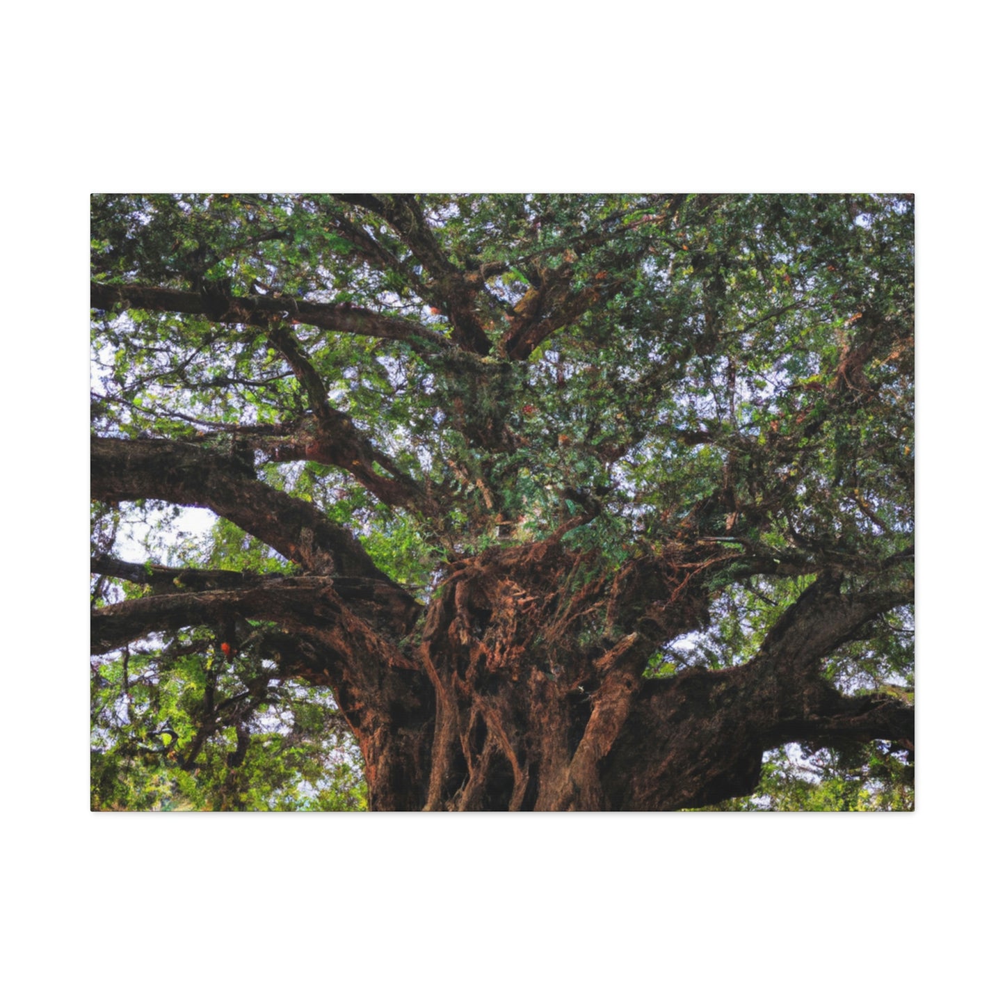 "El secreto sorprendente del árbol antiguo" - The Alien Canva