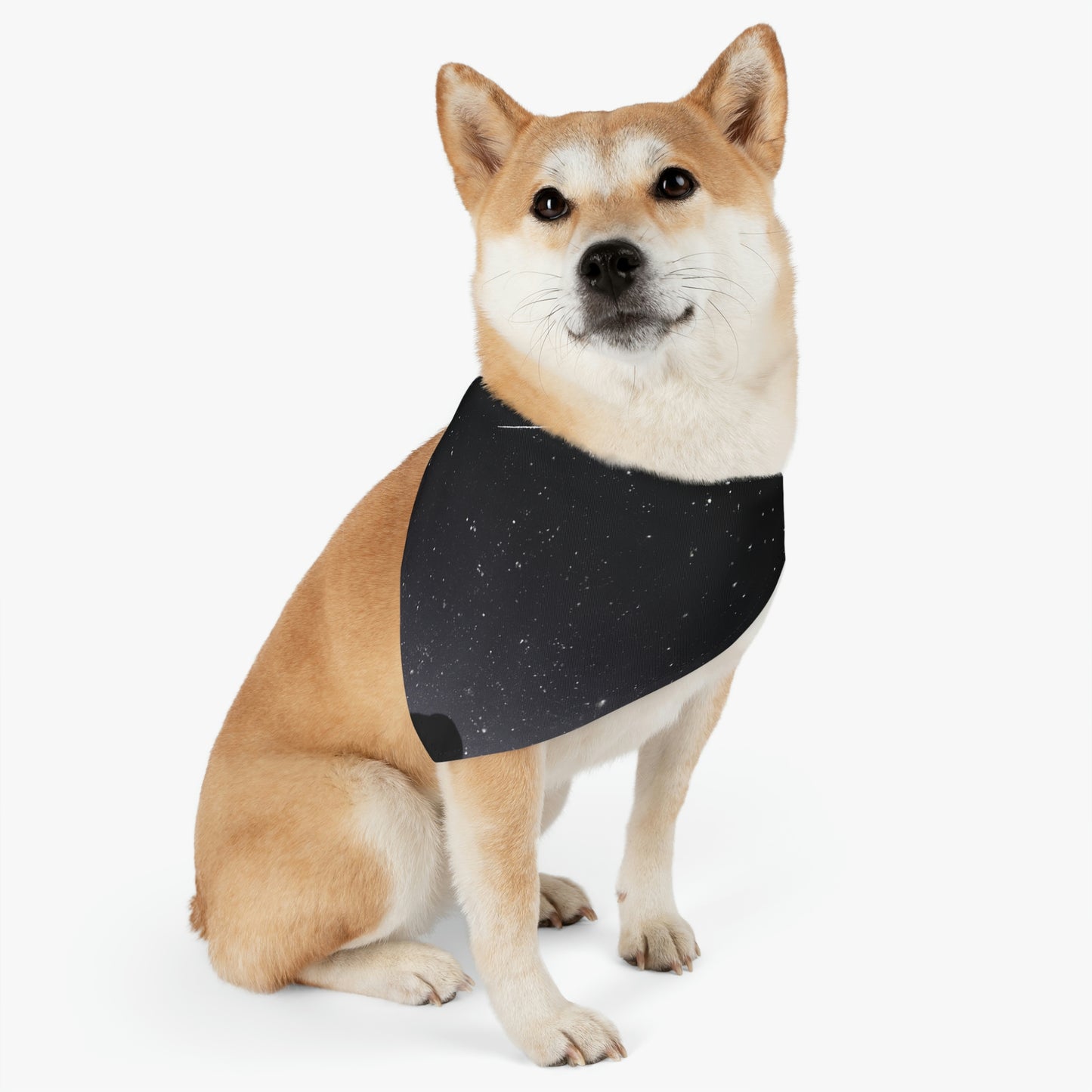 "Un deseo en los cielos" - El collar de bandana para mascota alienígena