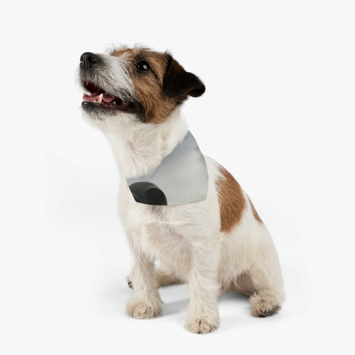 "Adrift in the Universe" - The Alien Pet Bandana Collar