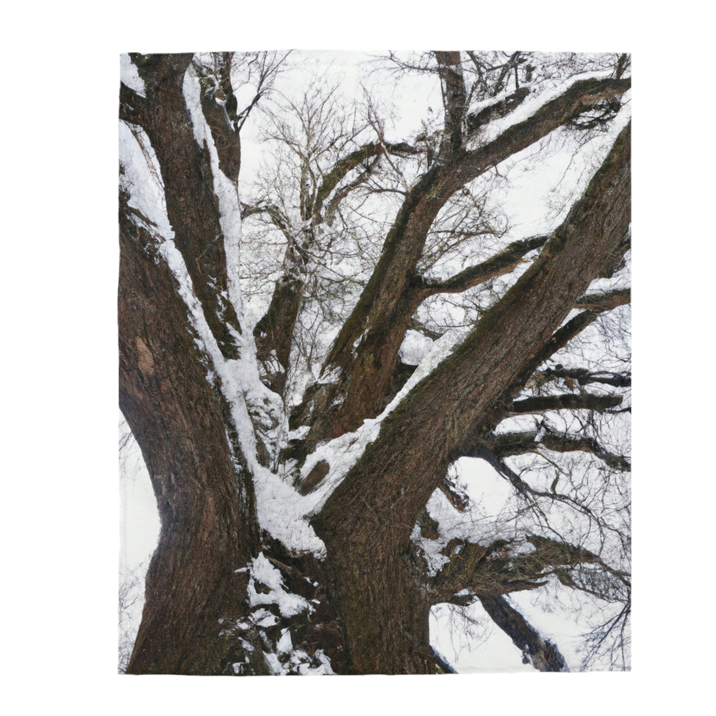 "Winter Wonderland Tree" - The Alien Velveteen Plush Blanket