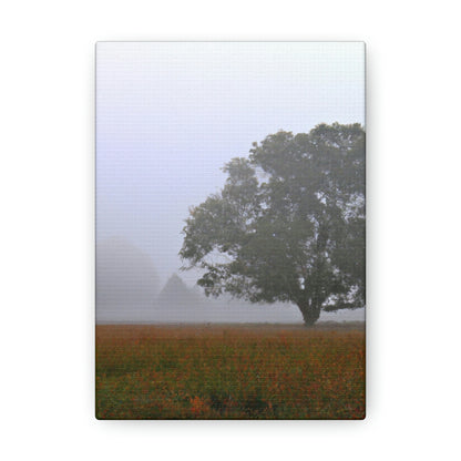 Der einsame Baum auf der nebligen Wiese - The Alien Canva