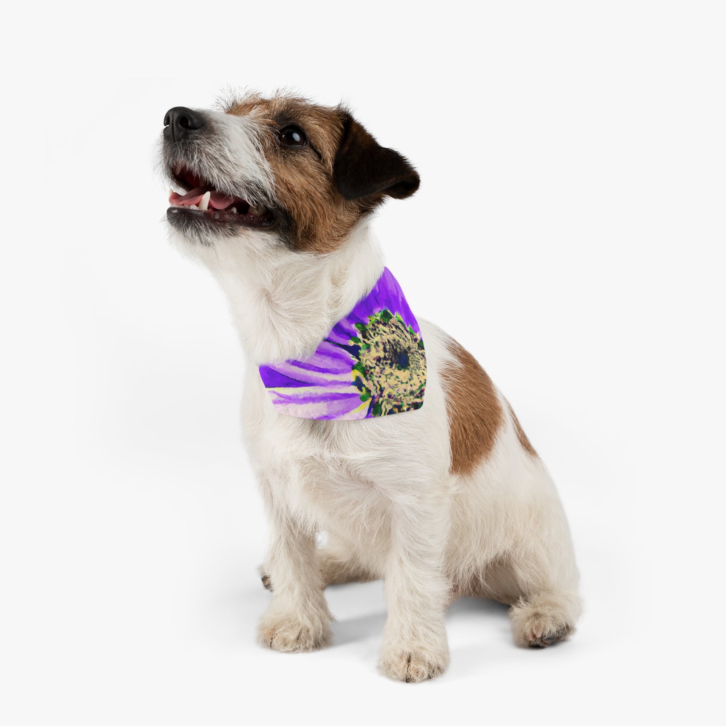 Purple Petals Popping: Create an Eye-Catching Daisy-Rose Fusion - The Alien Pet Bandana Collar