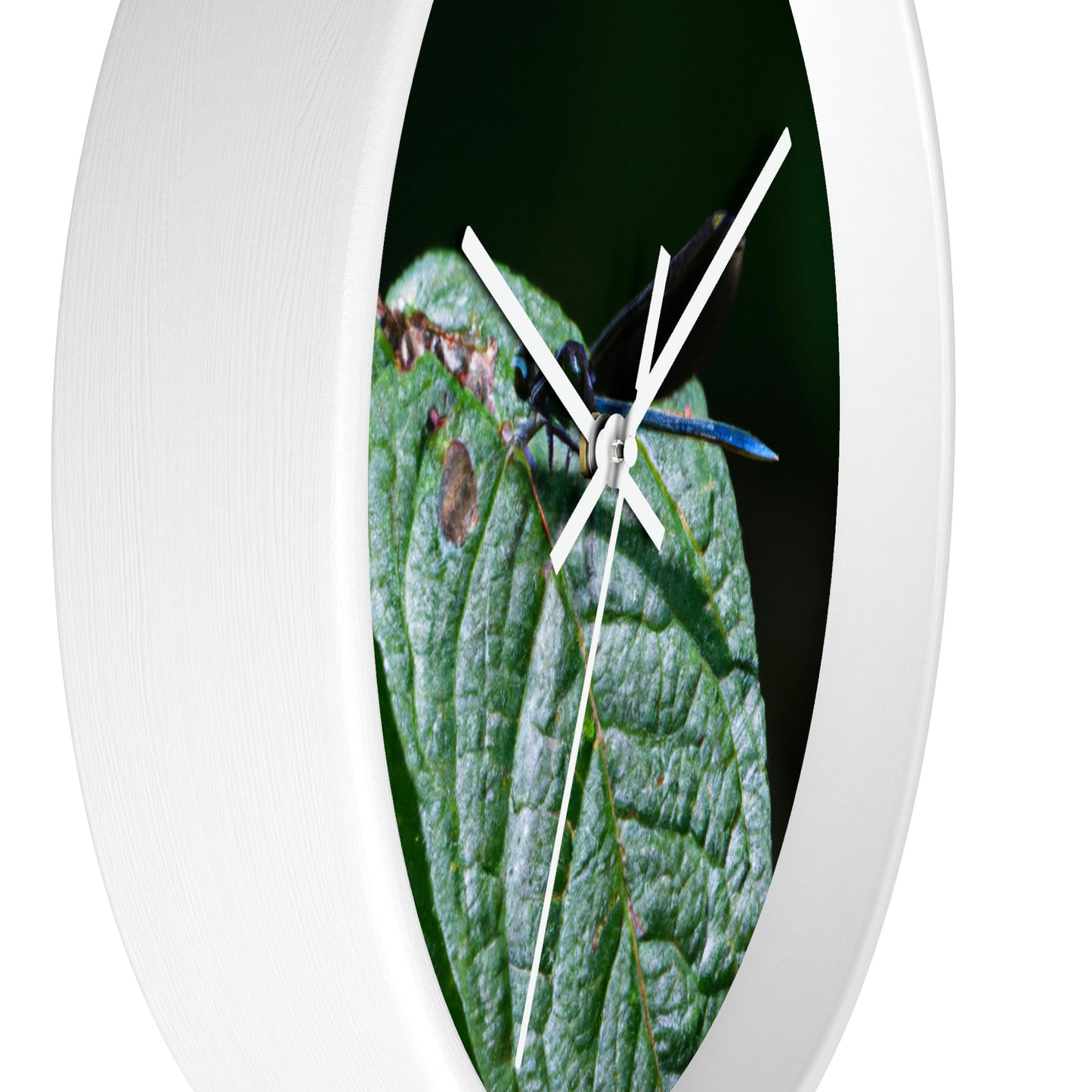 "A Moment of Transience" - The Alien Wall Clock