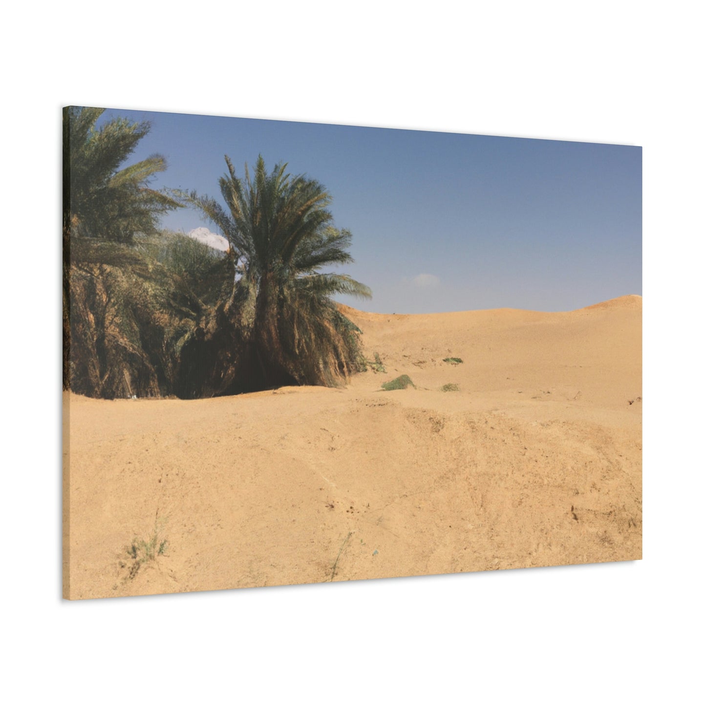 "A Desert Oasis" - The Alien Canva