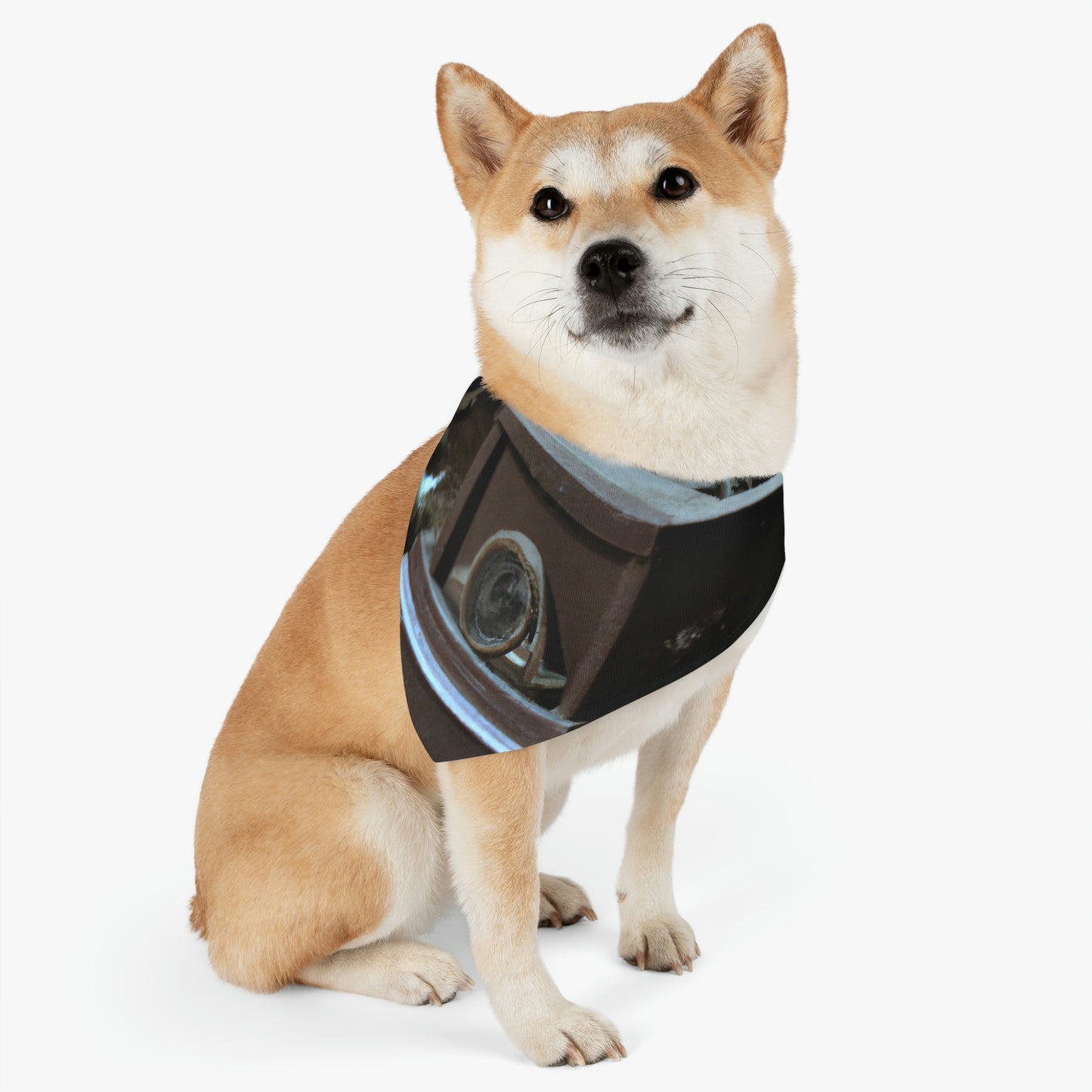 "The Forgotten Melody" - The Alien Pet Bandana Collar #nft