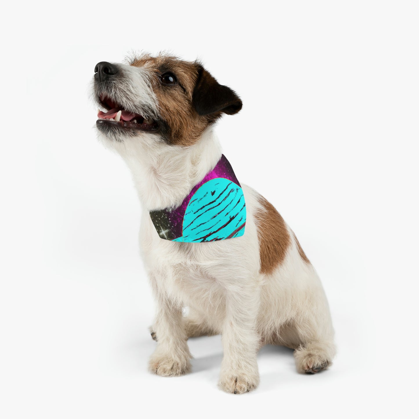 "A Star Forsaken" - Das Alien Pet Bandana Halsband