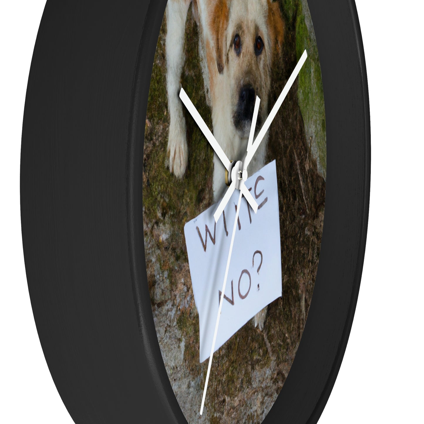 "A Heartbreaking Search: The Lost Dog's Plea for Reunion" - The Alien Wall Clock