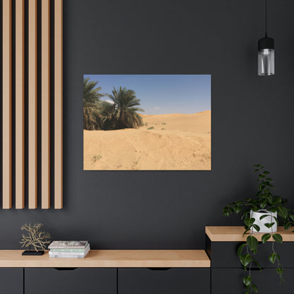 "A Desert Oasis" - The Alien Canva