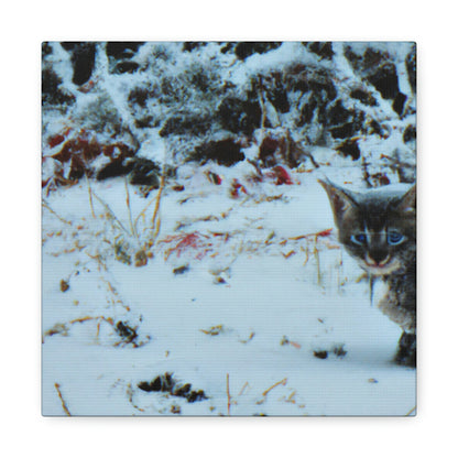 "Brave Kitten in the Frozen Storm" - The Alien Canva