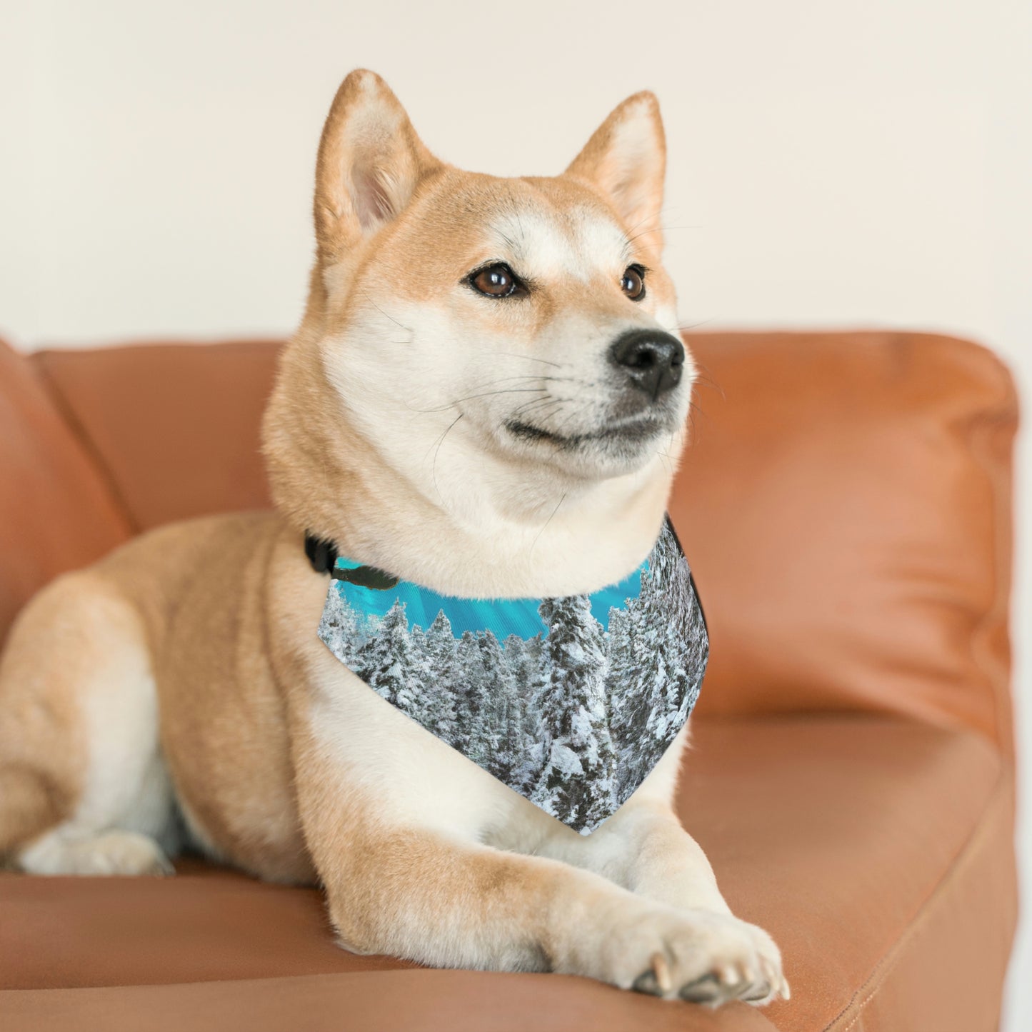 "Frostbitten Hero" - The Alien Pet Bandana Collar