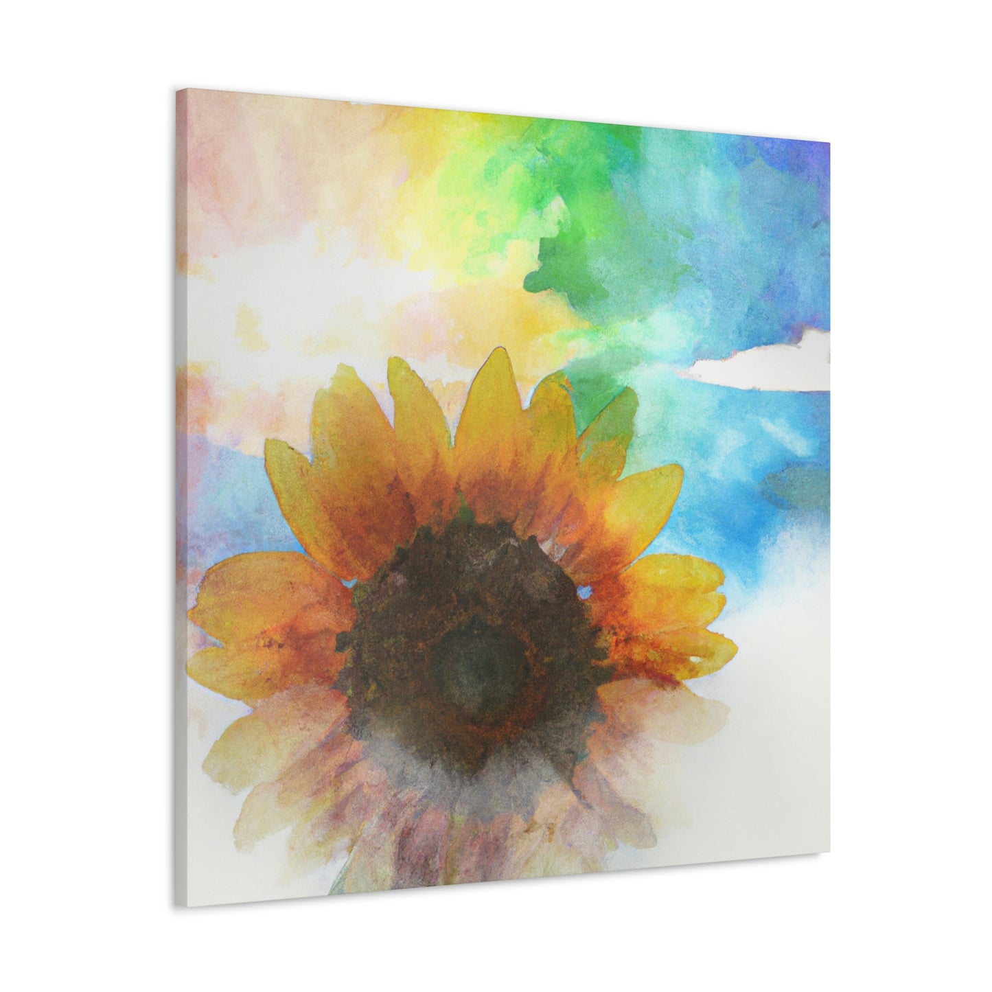 Rainbow Skies Artist - Canvas