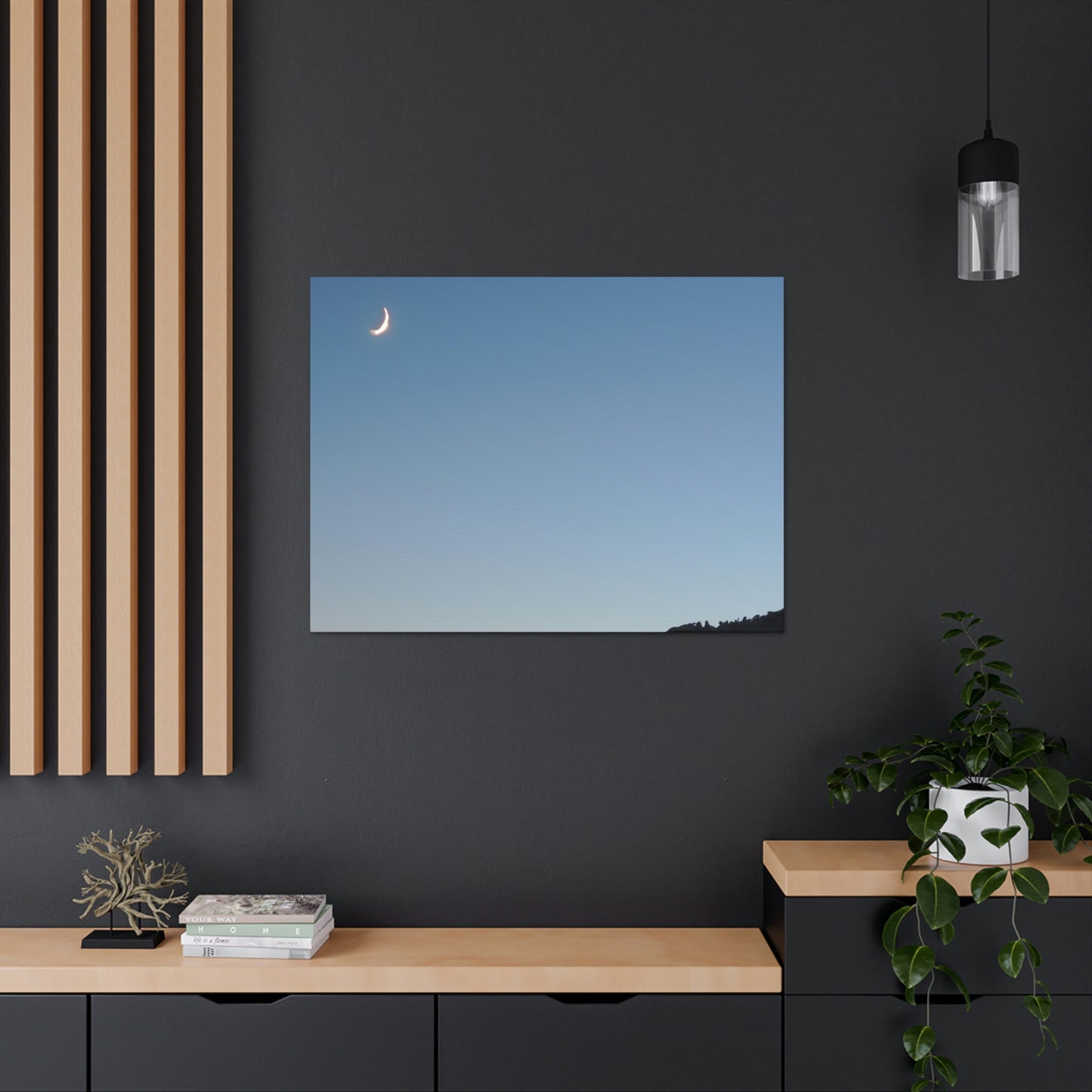 The Crescent Moon in Winter's Shadow - The Alien Canva