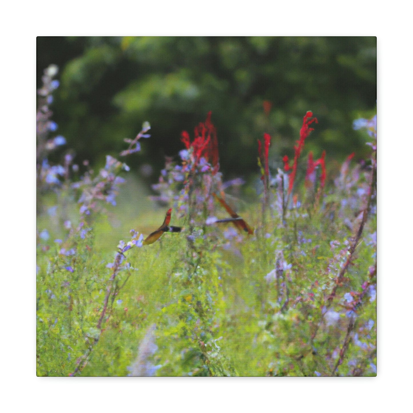 "The Dragonfly Ball in the Wildflower Meadow" - The Alien Canva