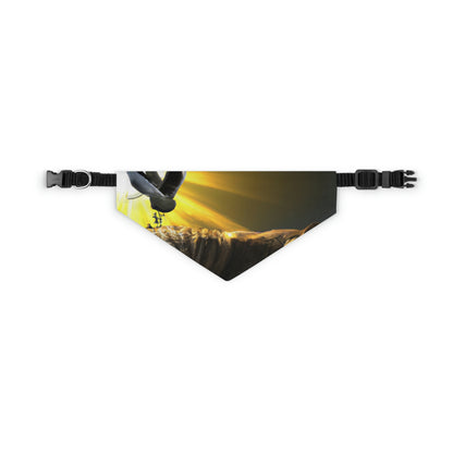 "A Purrfect Sunbeam Moment" - The Alien Pet Bandana Collar