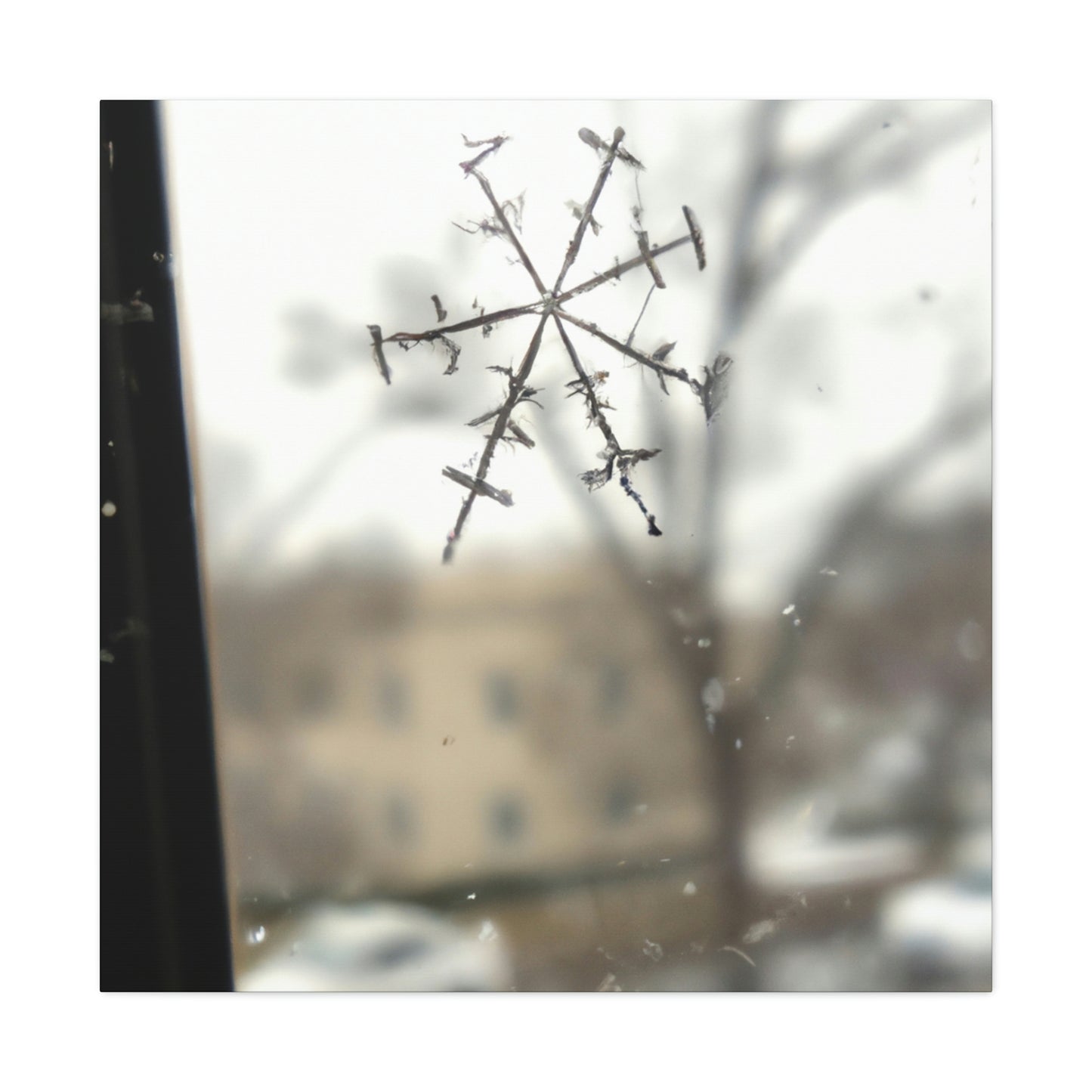 "Tiny Tragedy: A Snowflake's Story" - The Alien Canva