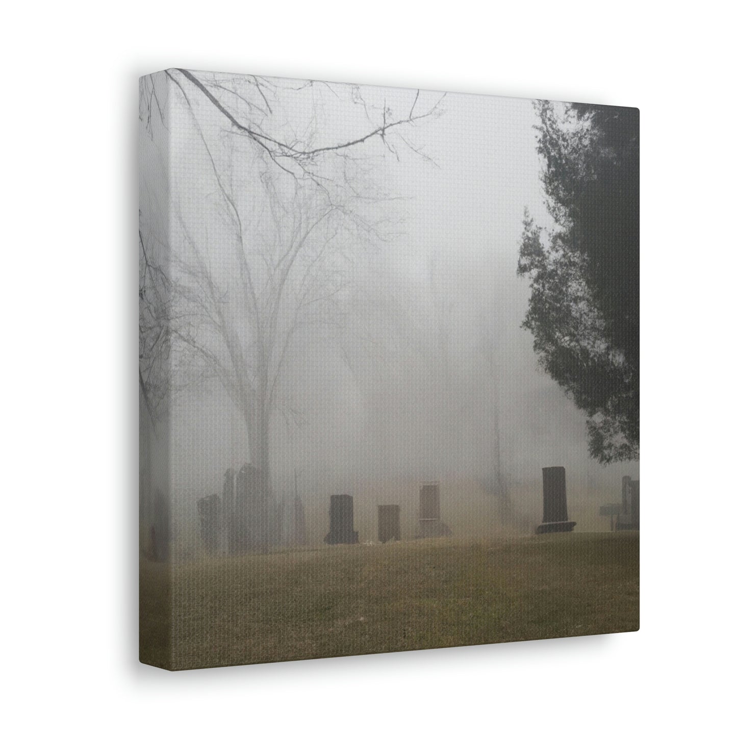 "Perdido en la niebla: un cementerio olvidado" - The Alien Canva