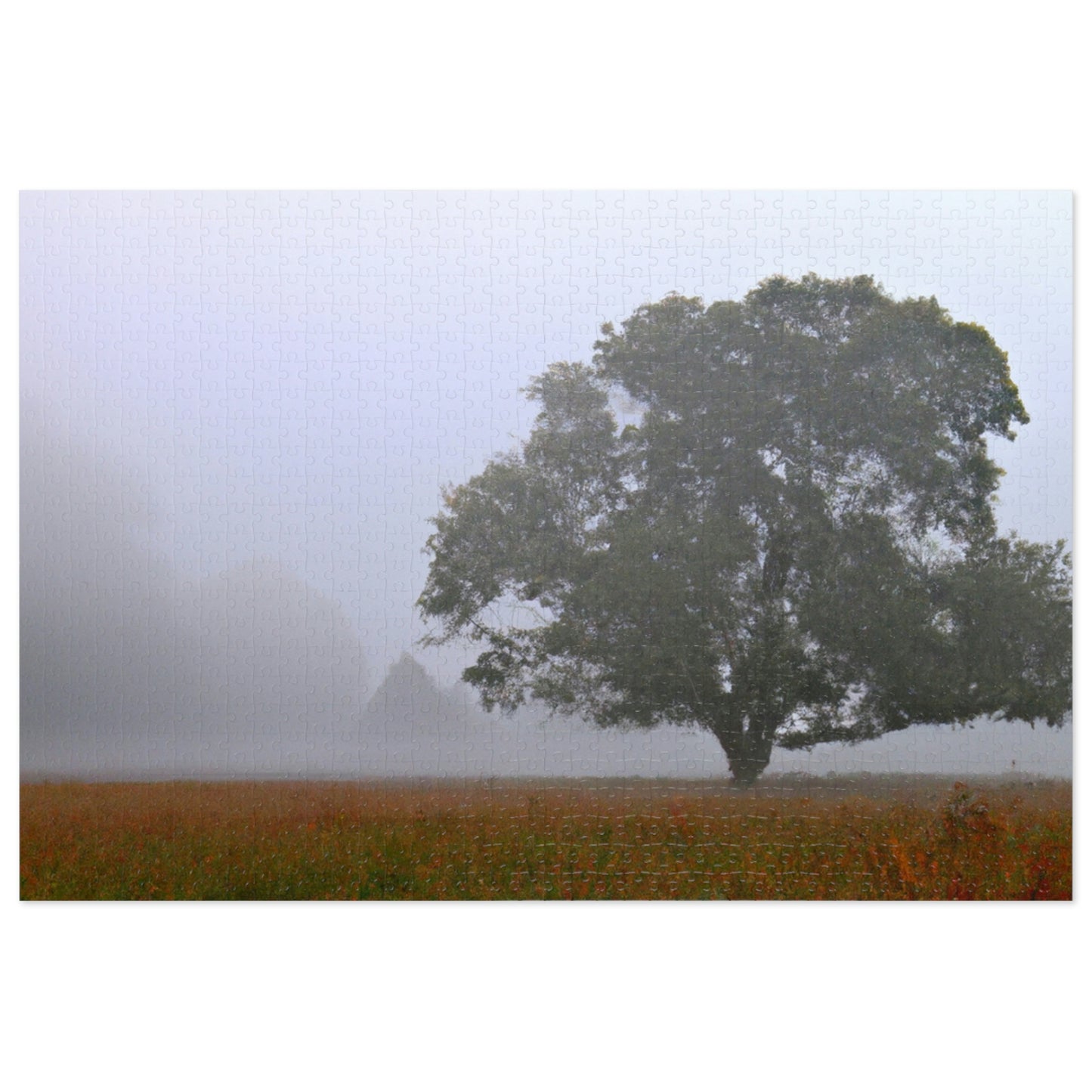 The Lonely Tree in the Foggy Meadow - The Alien Jigsaw Puzzle