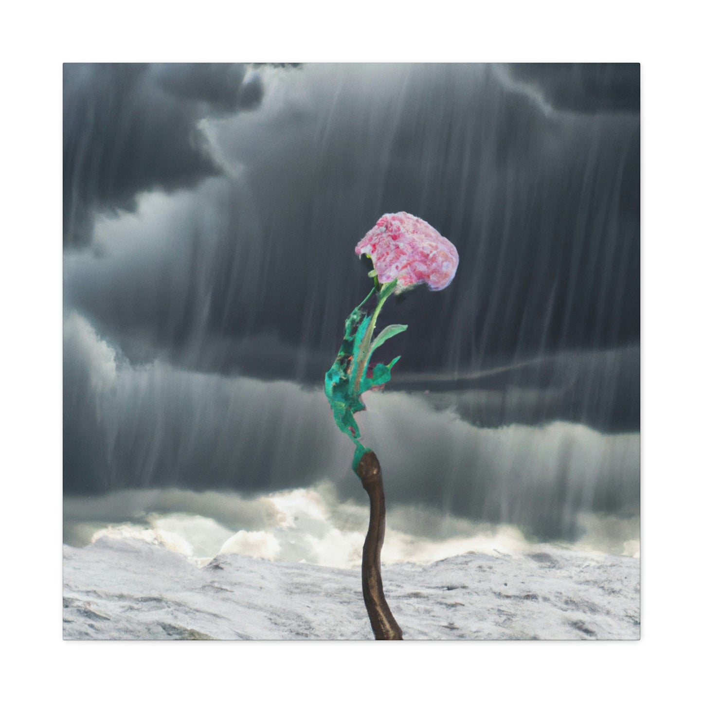 "Aight Against the Storm: La historia de una flor solitaria" - The Alien Canva