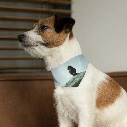 "Una envergadura por encima de la historia": el collar de bandana para mascotas alienígenas