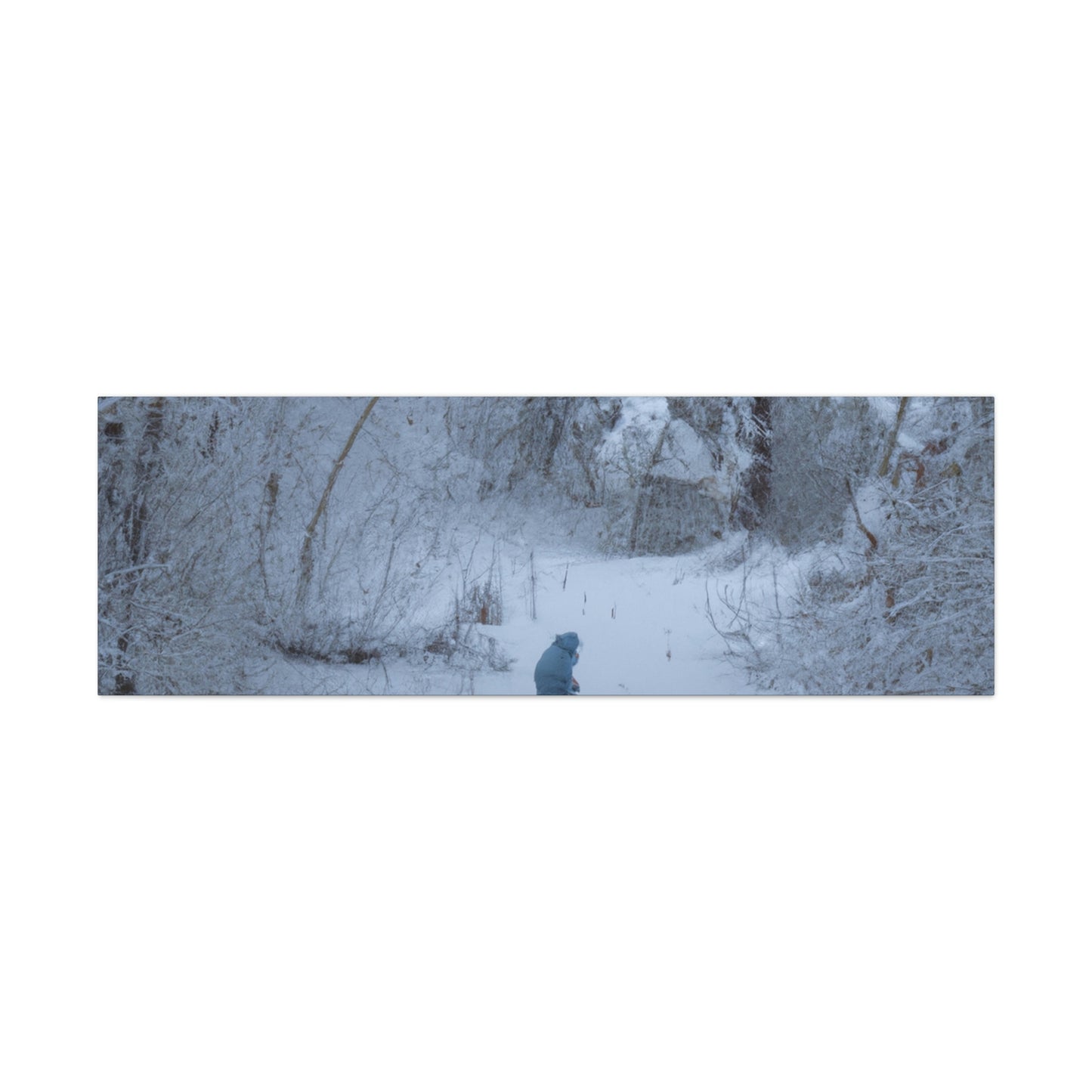 A Child in the Snow. - The Alien Canva