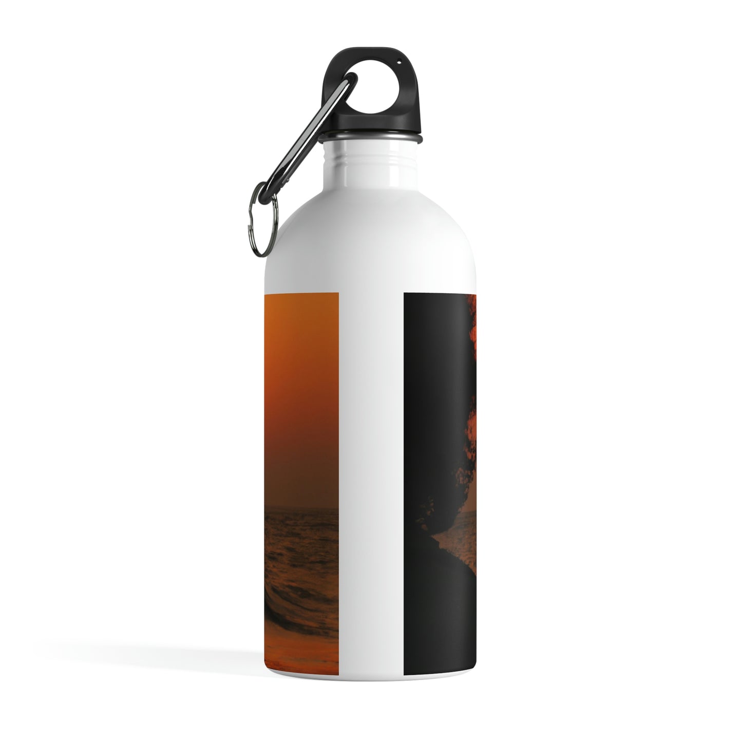 "Dreaming of Destiny" - The Alien Stainless Steel Water Bottle