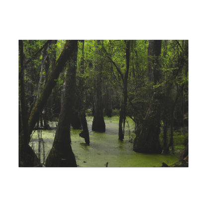 "Delving Deep into the Ancient Swamp" - The Alien Canva